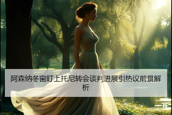 阿森纳冬窗盯上托尼转会谈判进展引热议前景解析 | FHSPORTS